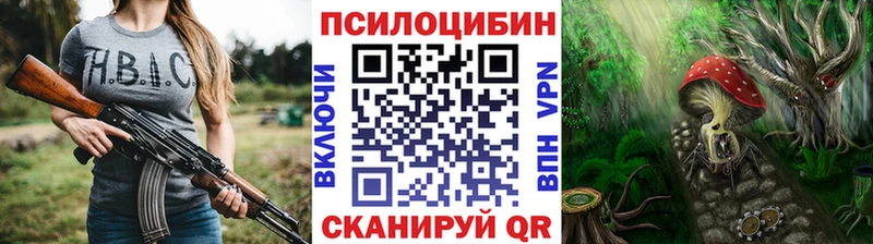 Купить закладки  Гаврилов-Ям  Галлюциногенные грибы прущие грибы 