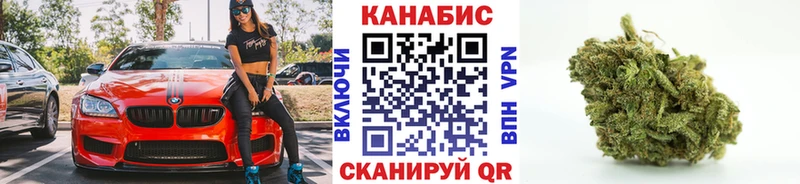 Марихуана план  Купить где  Гаврилов-Ям 
